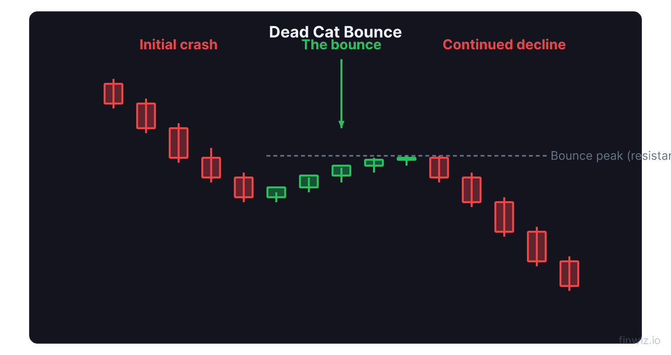 Dead cat bounce pattern showing initial crash followed by weak rally then continued decline below original lows