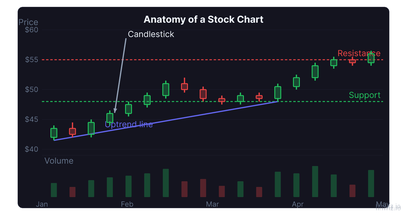 Full stock chart anatomy showing candlesticks volume bars support resistance and breakout annotations